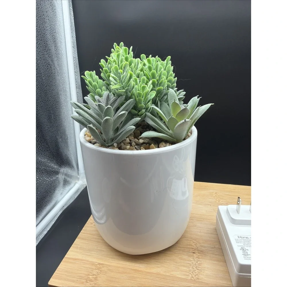iHome PowerPlant USB Charger Faux Succulent 3 USB Charging Ports USB-C/USB-A NEW